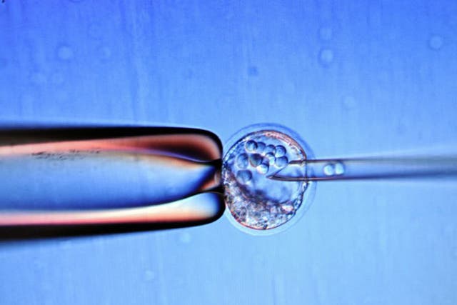 Embryo stem cells