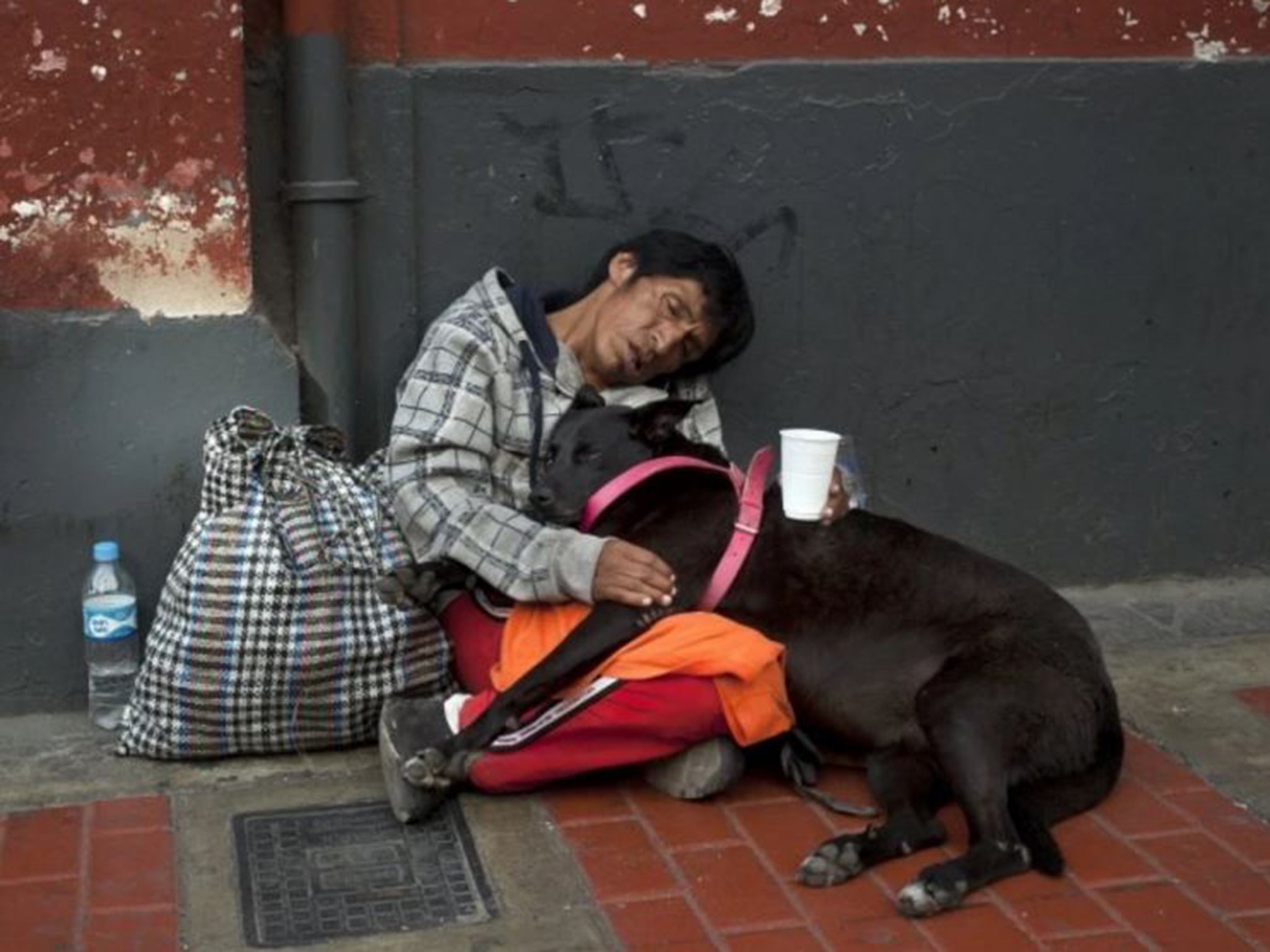 A beggar and his dog sleep on March 2 in downtown Lima, Peru.