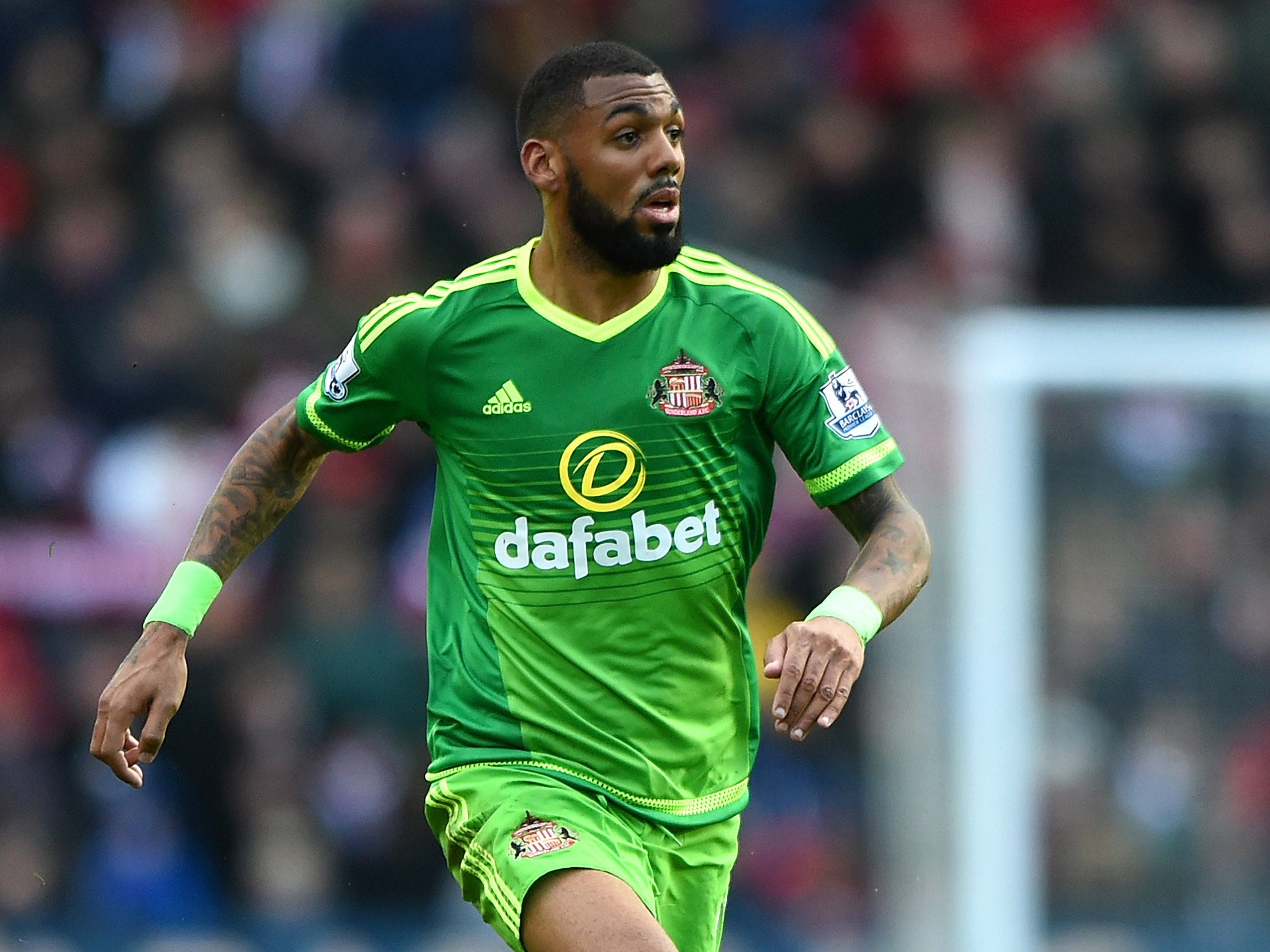 French midfielder Yann M'Vila proved a valuable addition to the Sunderland team this season (Getty)