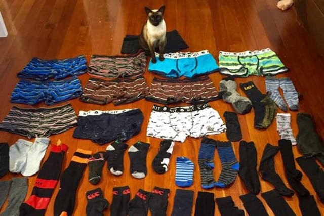 Brigit has stolen 11 pairs of underwear and 50 pairs of socks in the past two months