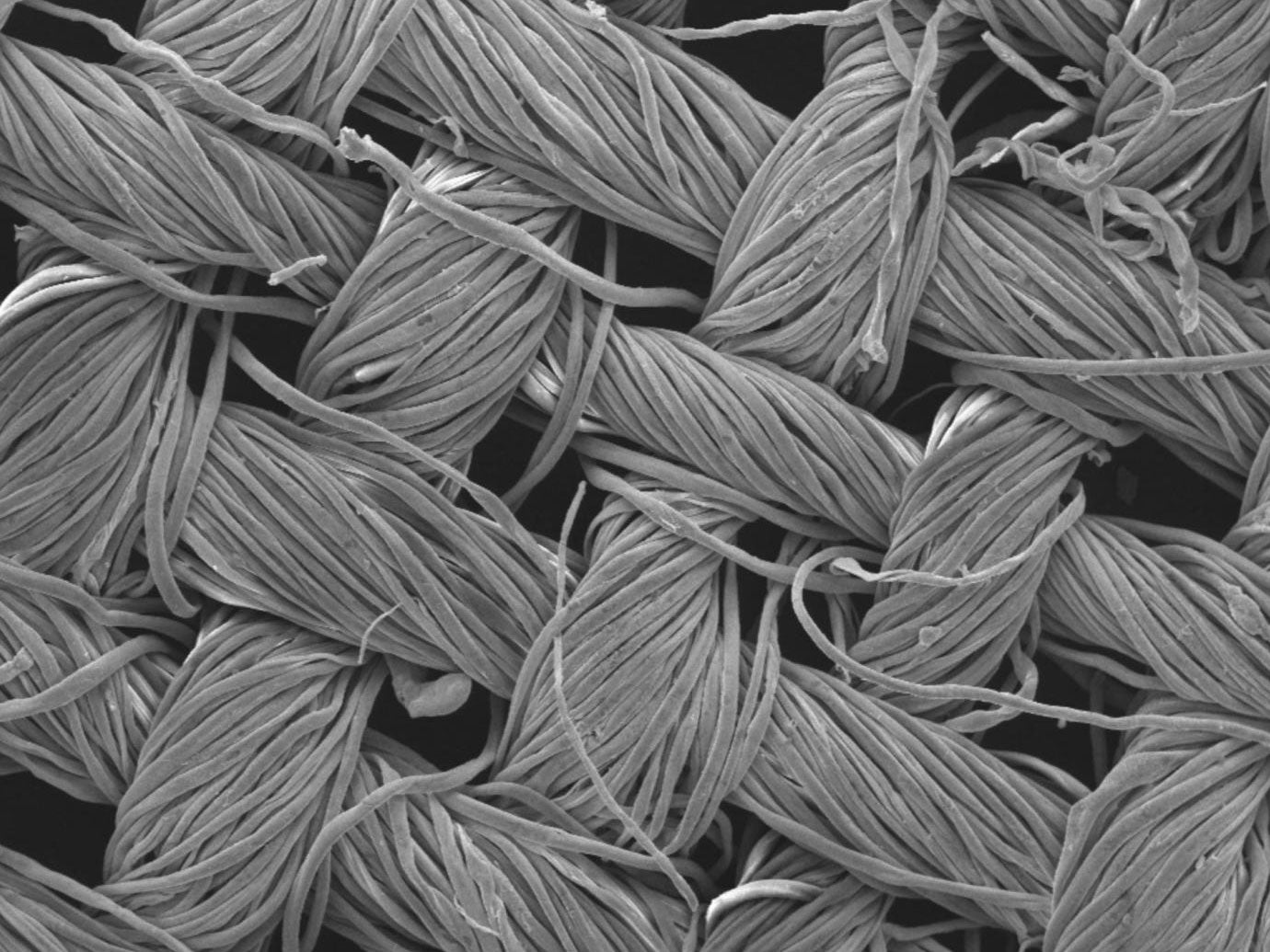 Even in this image of cotton textile magnified 2,300 times, the nanostructures are still invisible