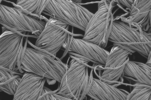 Even in this image of cotton textile magnified 2,300 times, the nanostructures are still invisible