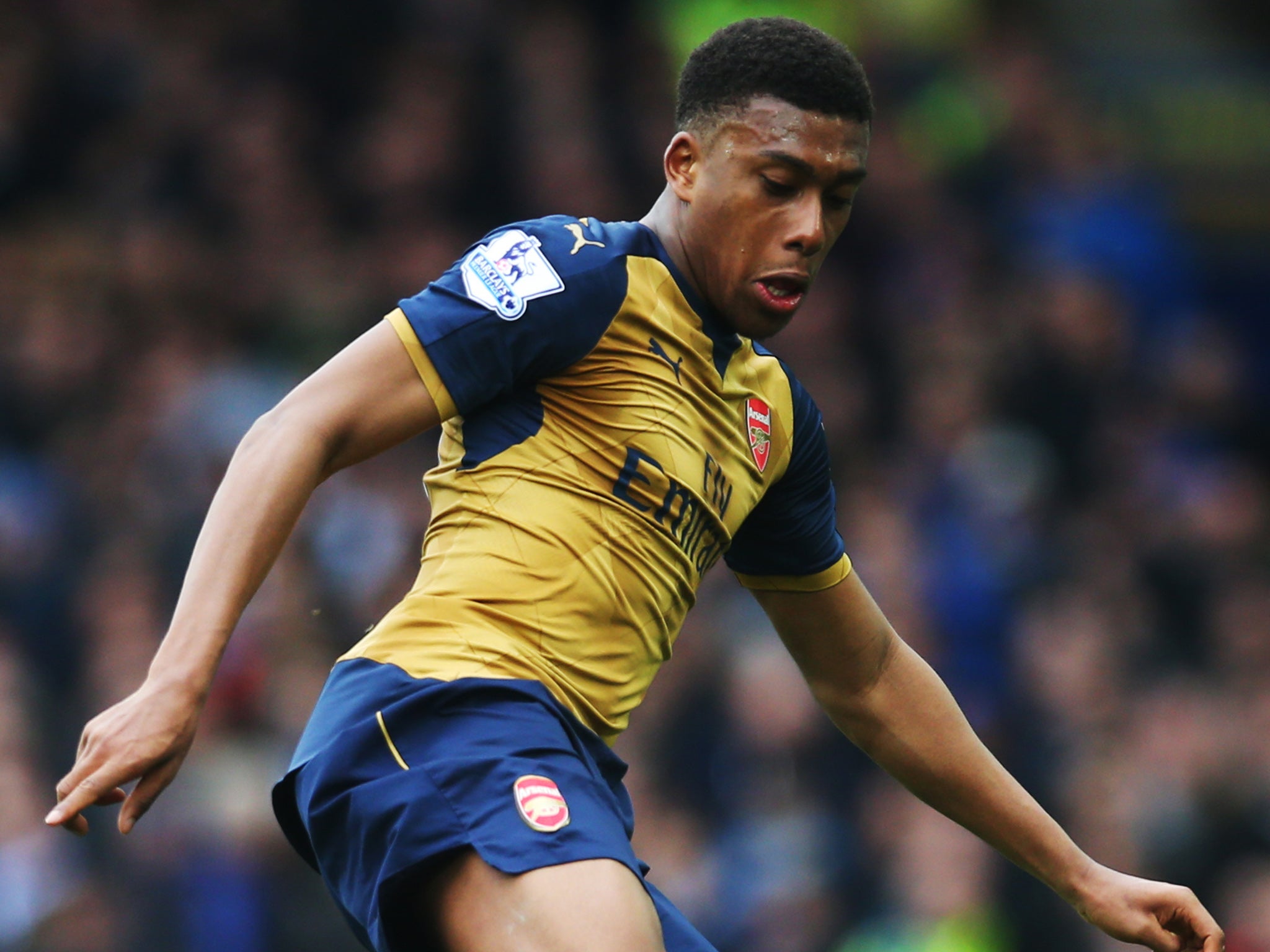 Alex Iwobi in action for Arsenal against Everton last weekend