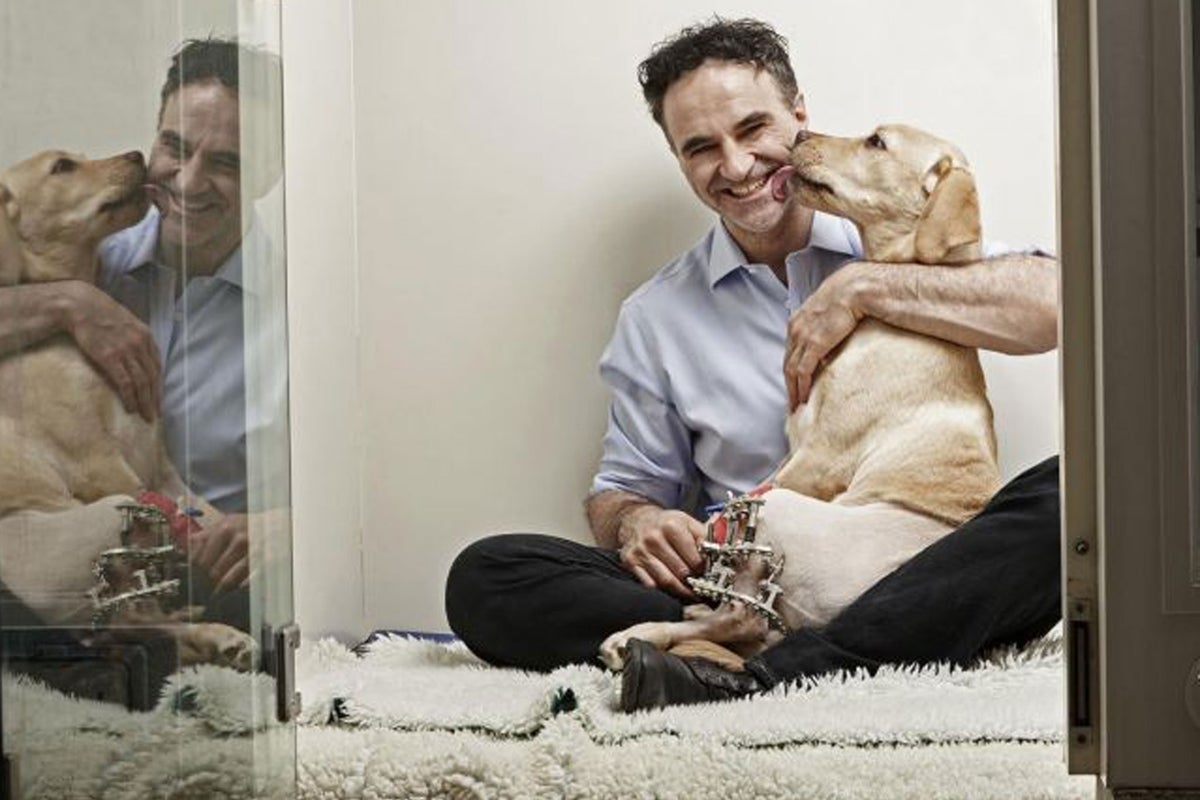 Supervet Noel Fitzpatrick has taken healthcare for animals to new heights