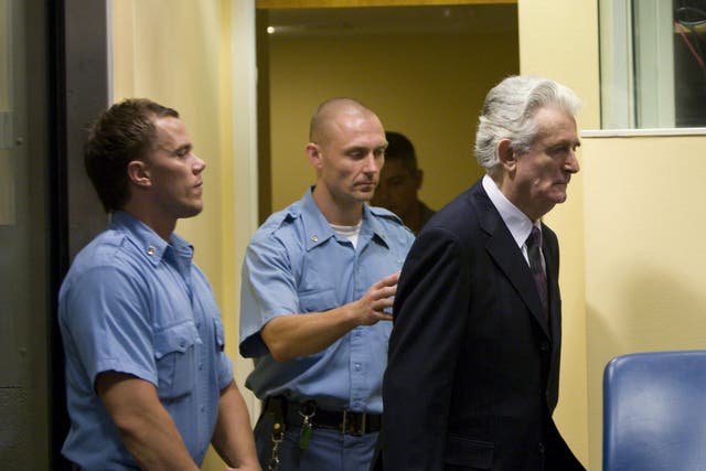 Karadžić first appeared before the tribunal in 2008, following his arrest