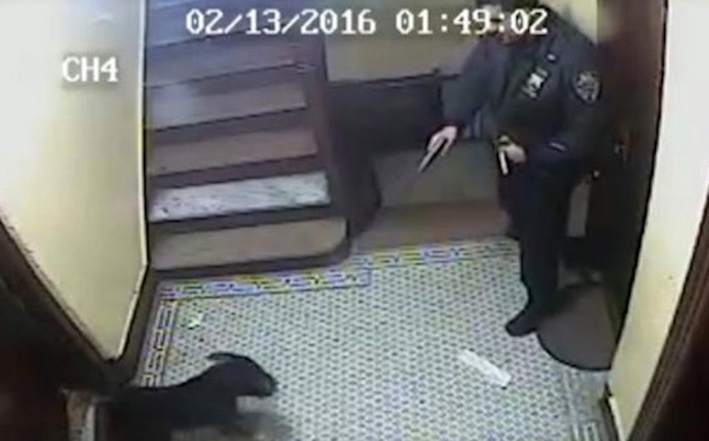 Police officer Ruben Cuesta fatally shoots a "friendly" dog in The Bronx.