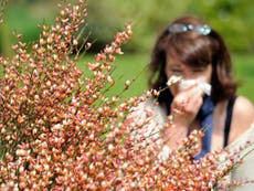 Asthma and hay fever suffers can help scientists tackle conditions by sharing symptoms in #BritainBreathing app