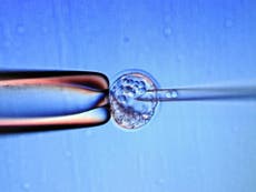 Embryo cell abnormalities ‘not necessarily a sign of birth defects’