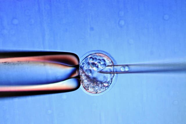 There is currently a 13 day limit to observing human embryo growth