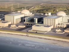 Read more

EDF downgraded on Hinkley Point risks in 'massive red flag'