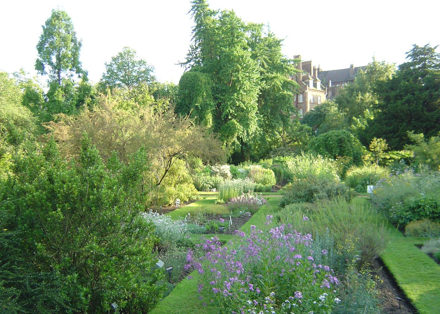 Chelsea Physic Garden