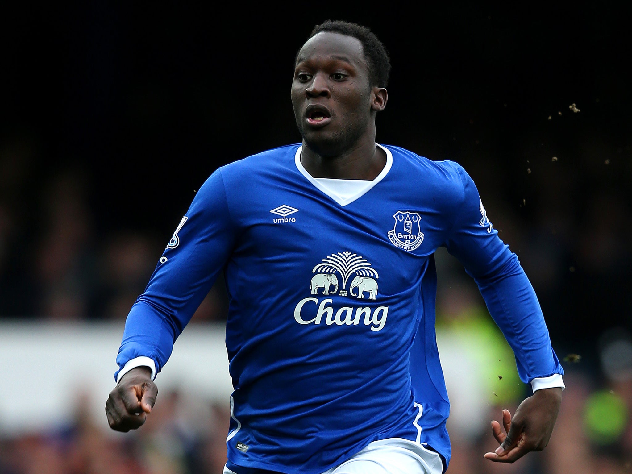 Image result for lukaku