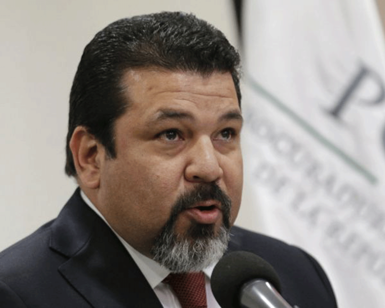 Ricardo Damian Torres, from the offices of Mexico's attorney general, did not check the report with the IACHR
