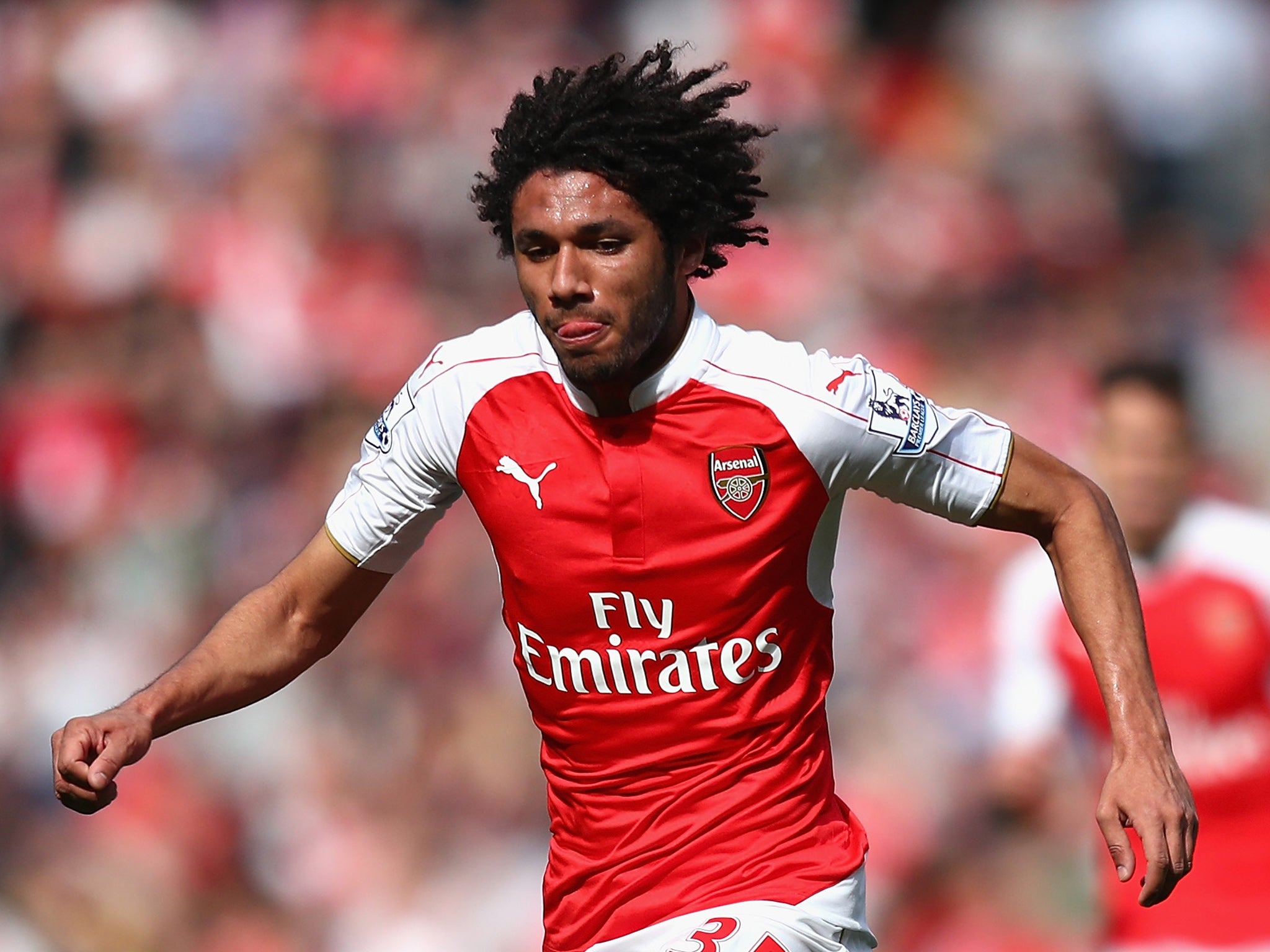 Elneny has impressed since arriving at Arsenal in January (Getty)