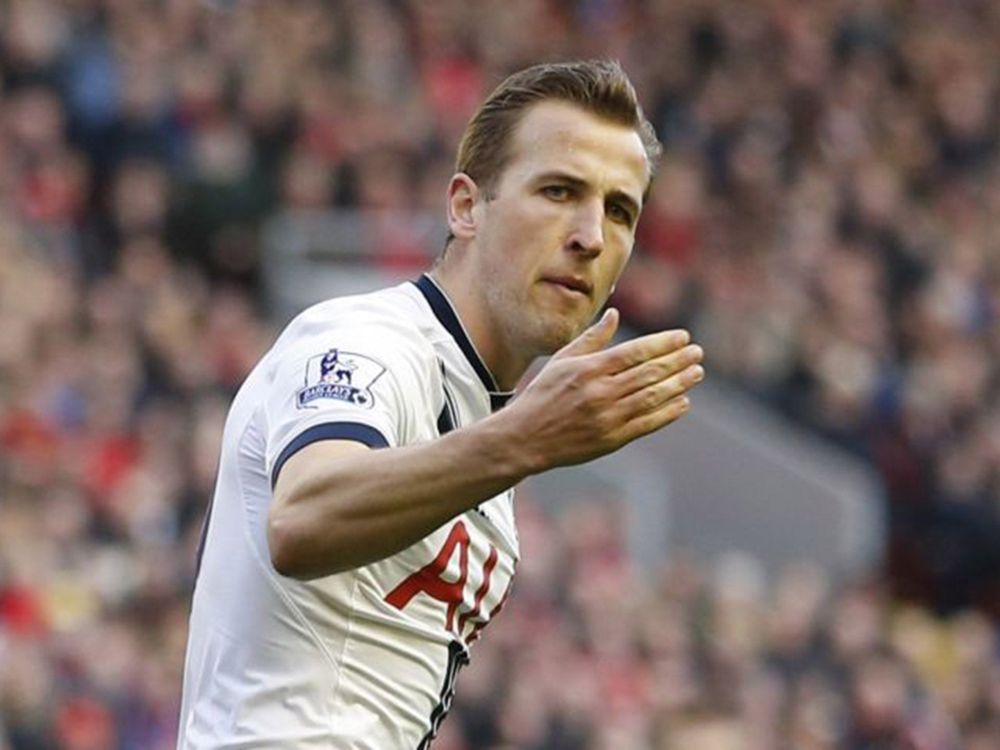 Harry Kane celebrates after equalising for Tottenham against Liverpool