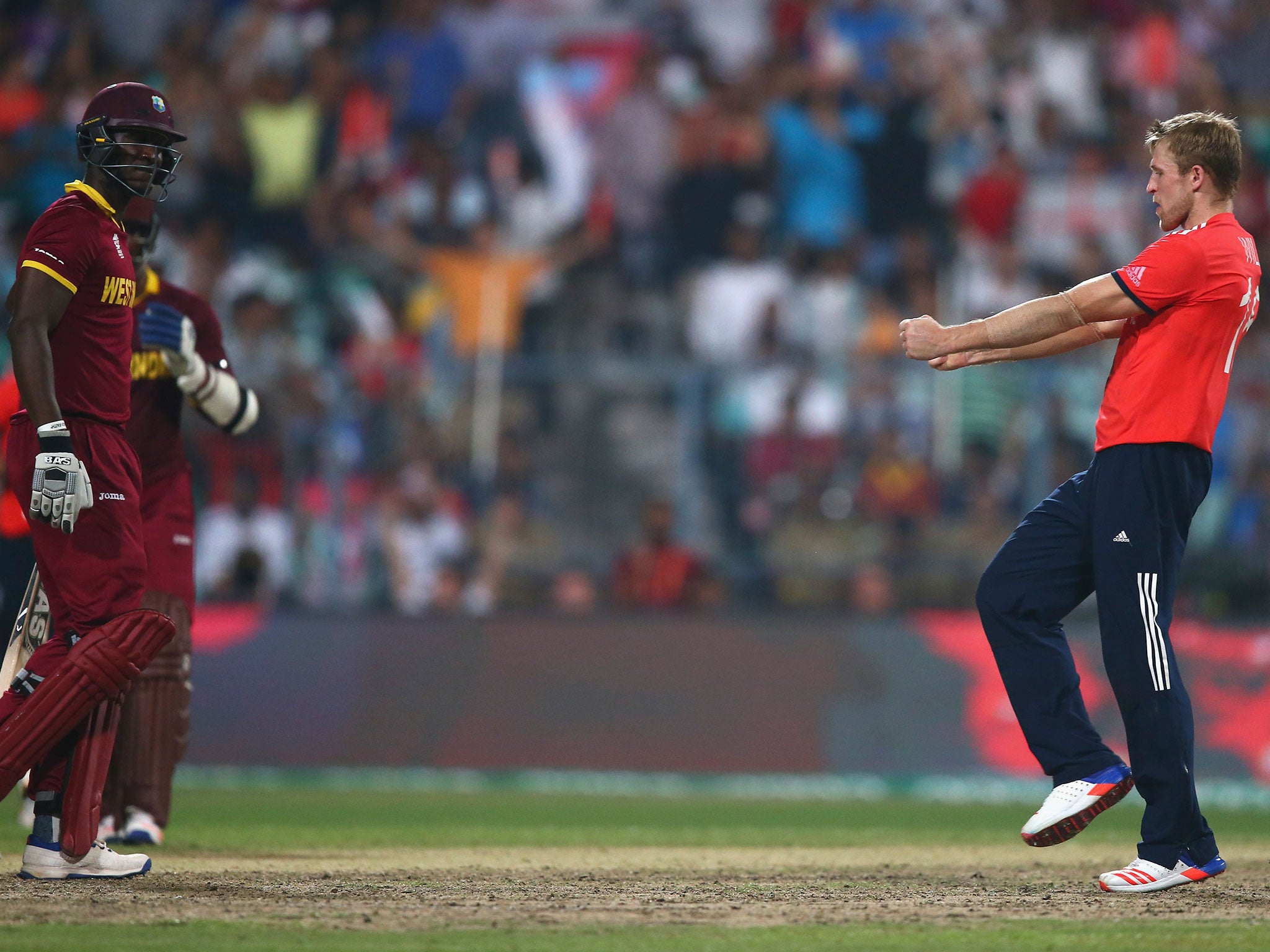 David Willey of England celebrates after taking the wicket of Darren Sammy