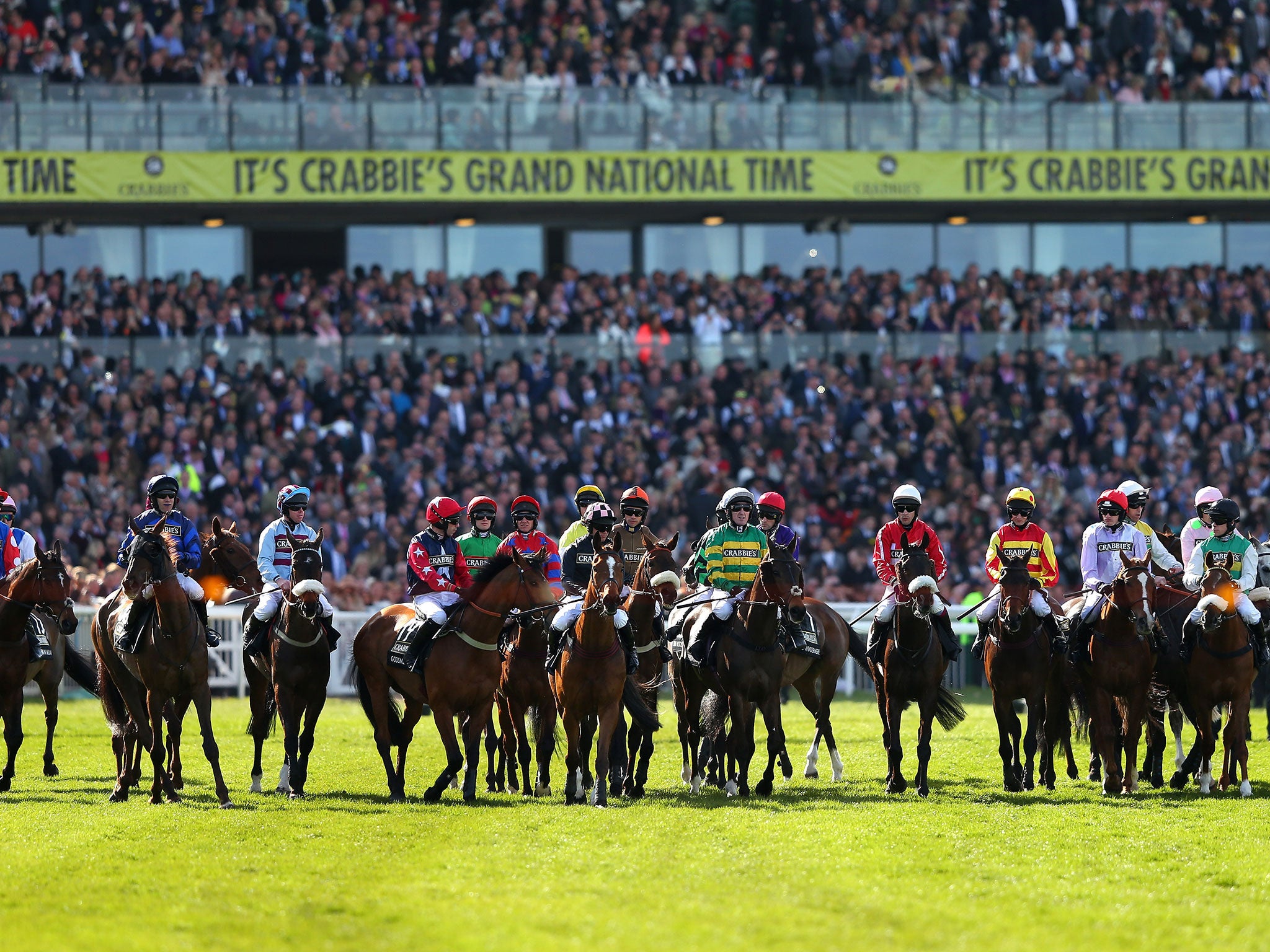 The start of the Grand National in 2015