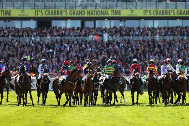 The start of the Grand National in 2015