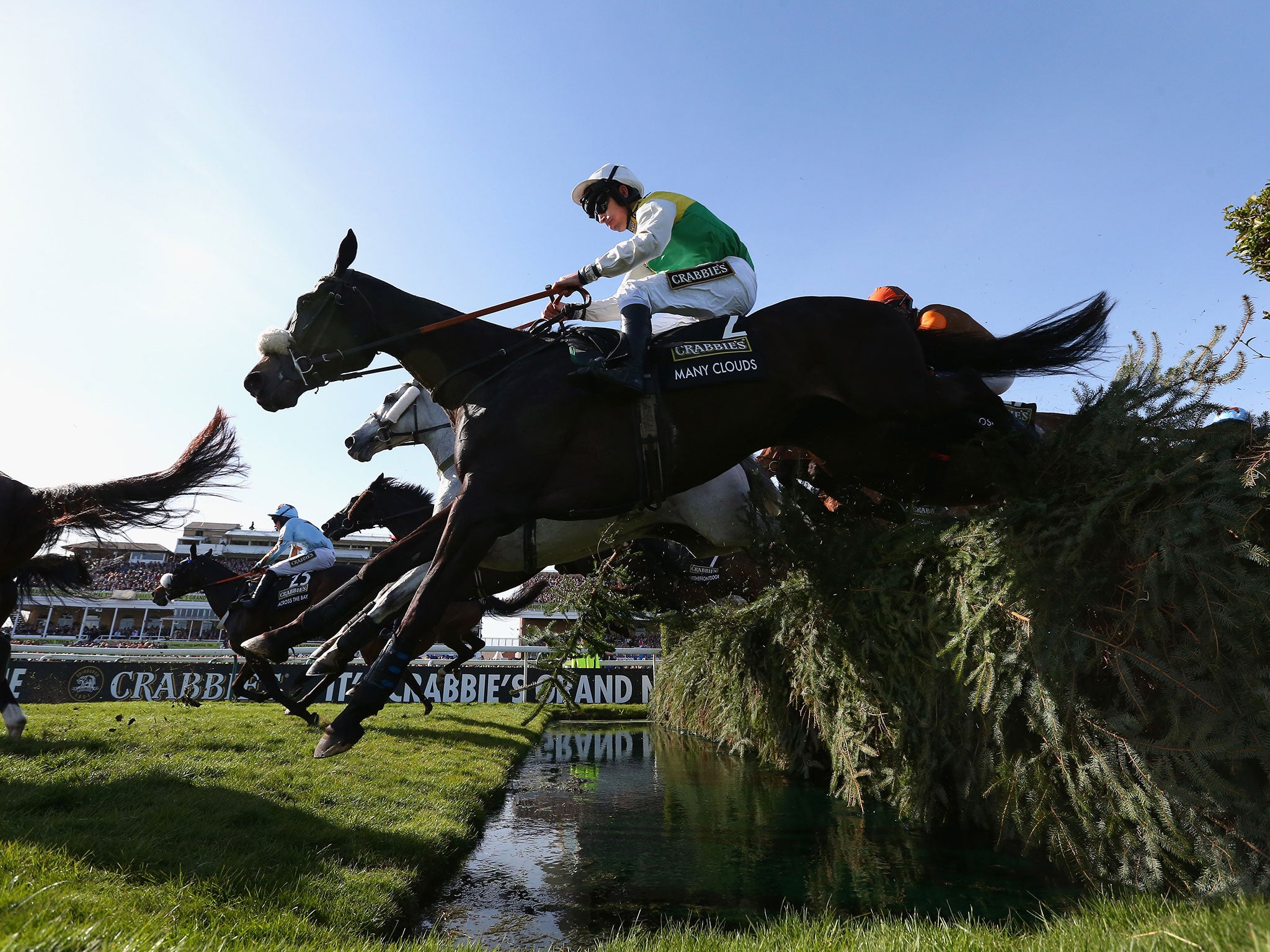 Many Clouds on the way to victory in the Grand National in 2015