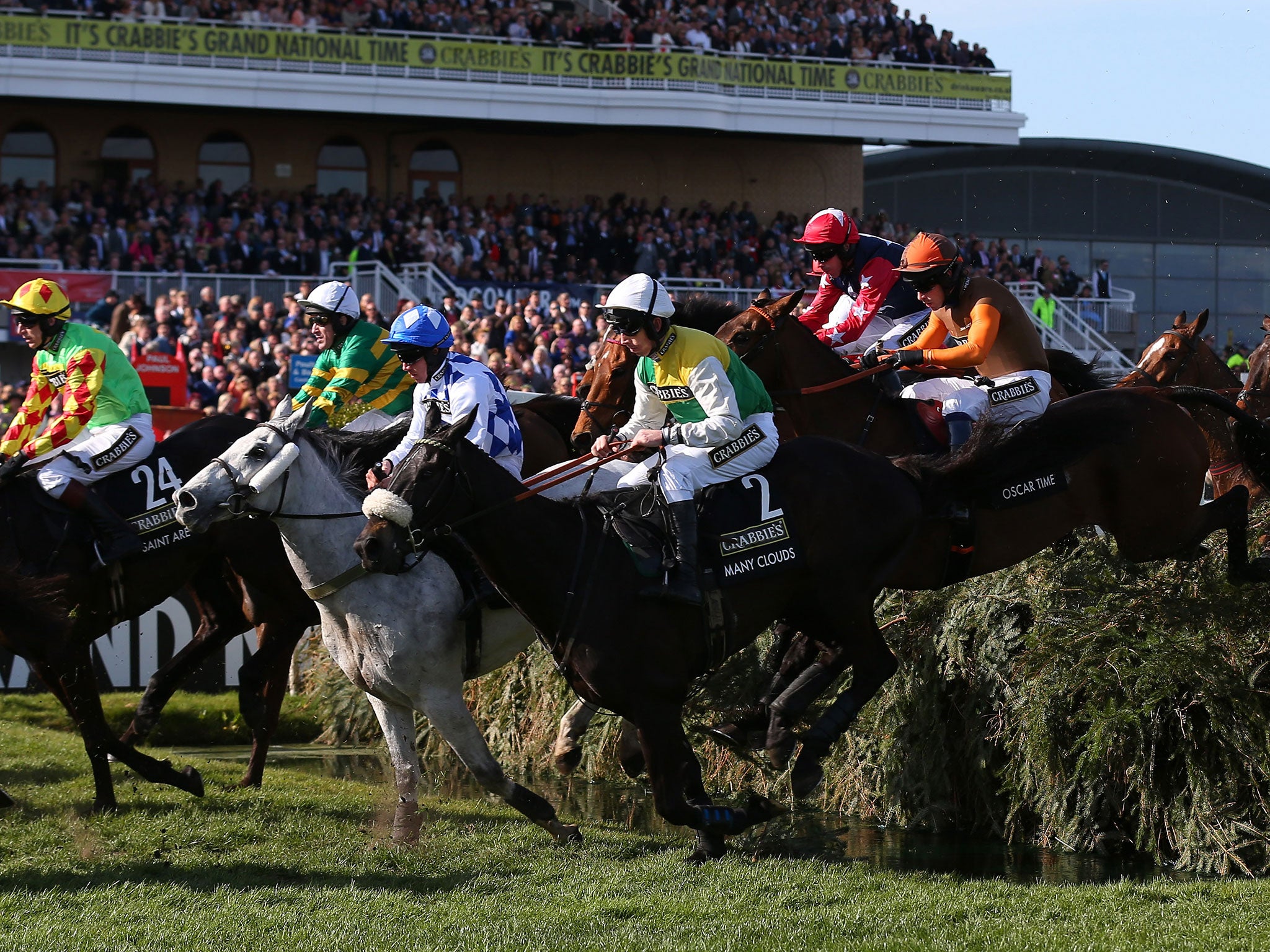 A view of the 2015 Grand National