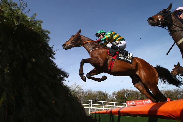 A view of the 2015 Grand National