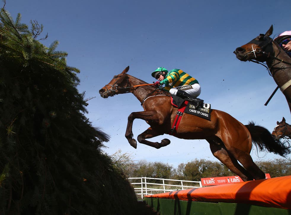 A view of the 2015 Grand National