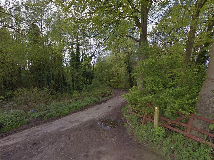 The girls had been walking along a dirt track between Lilford Park and Green Lane in Leigh