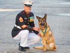 Three-legged military dog awarded animals’ Victoria Cross