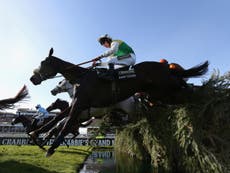 The Grand National 2016 in numbers