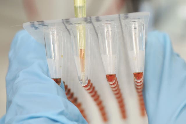 Vials containing engineered DNA
