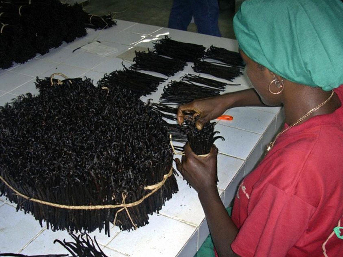 A worker sorts vanilla at a production site in Anjombalava in the middle of the most important vanilla production regions in Madagascar