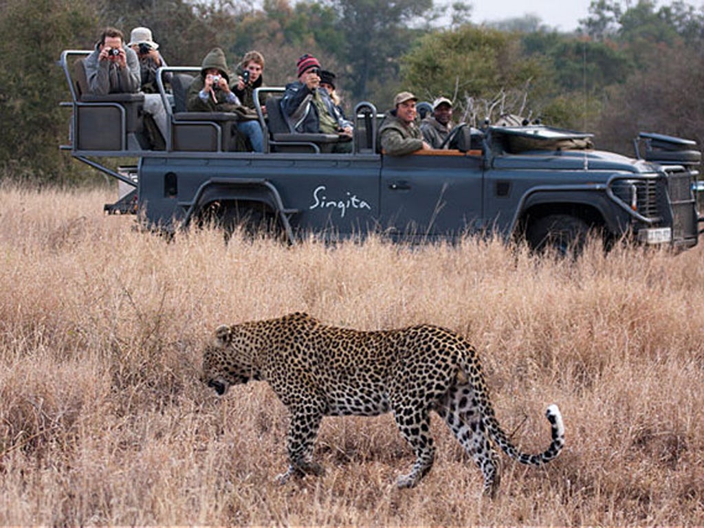 Tourists watching a leopard at Singita