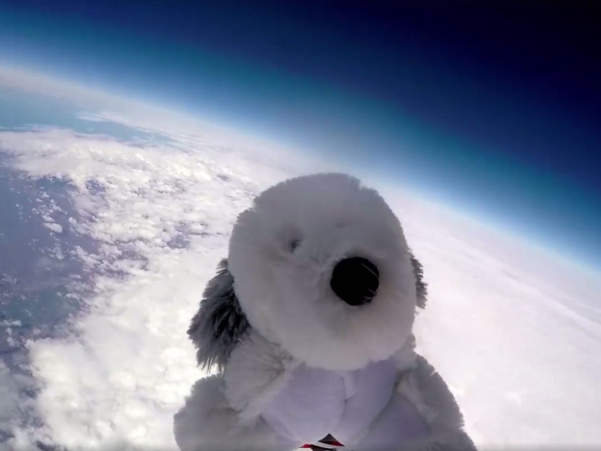 Sam the Dog soars above the Earth during his ill-fated flight