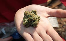 DEA considers dropping marijuana from most dangerous drugs list by Jul