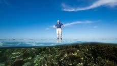 Read more

Great Barrier Reef might be Sir David Attenborough’s last ‘proper’ doc