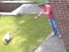 Read more

CCTV shows man firing catapult at neighbour’s dogs