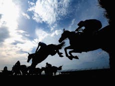 Tips, tricks and trends - how to pick a Grand National winner