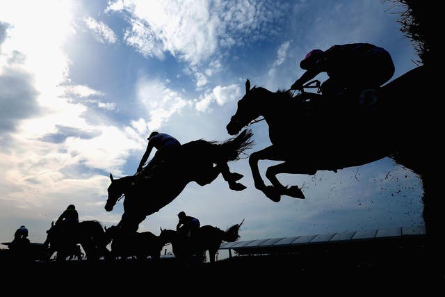 Since 2000, 42 horses have died at Aintree