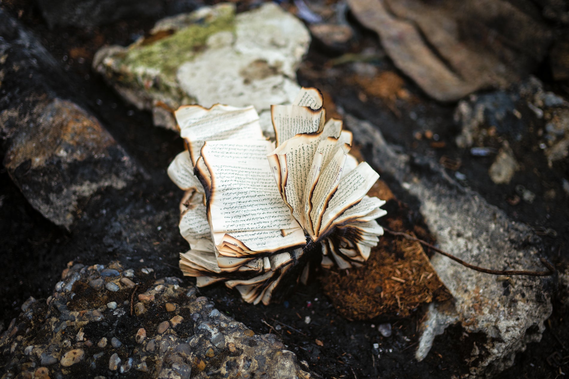 A prayer book lies charred in the mud having been rescued from a burning tent (Photo: Alan Schaller)