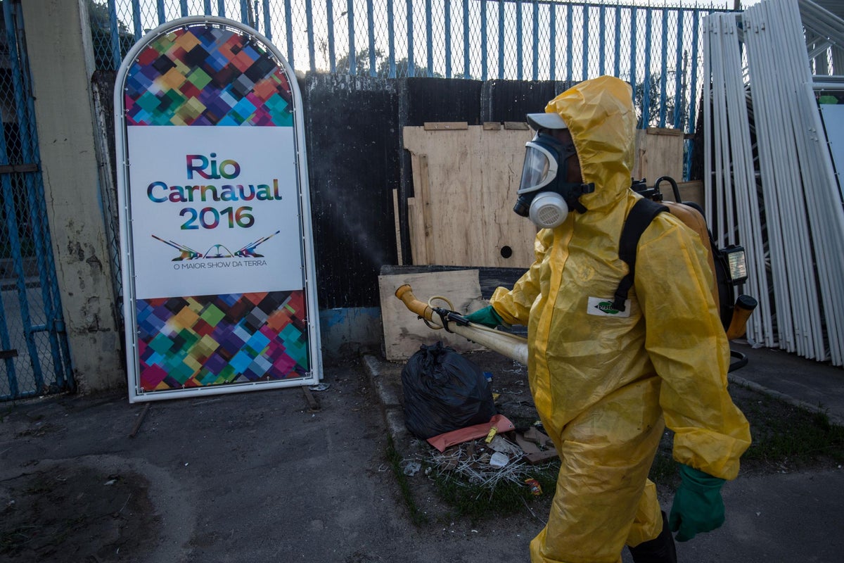 Zika virus may be linked to serious new brain disorder, scientists find ...