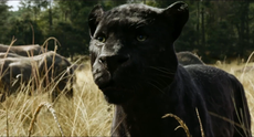 Jungle Book 2: Disney already working on sequel with Jon Favreau