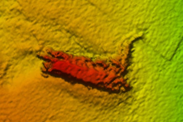 Sonar image of the remains found by the robot
