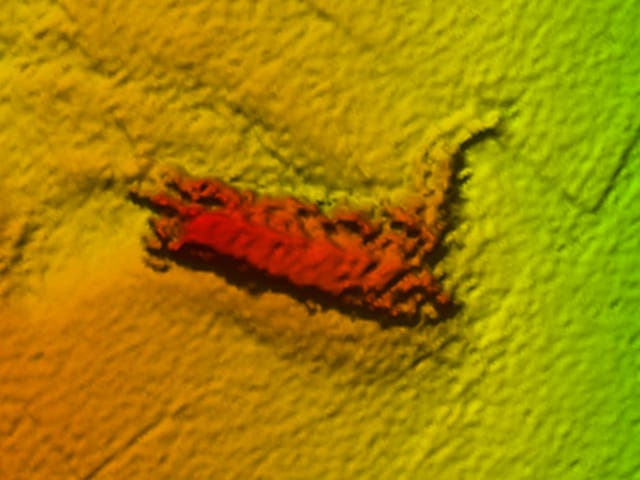 Sonar image of the remains found by the robot