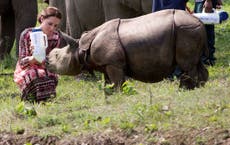 Read more

Piers Morgan attacks Prince William and Kate Middleton for rhino photo