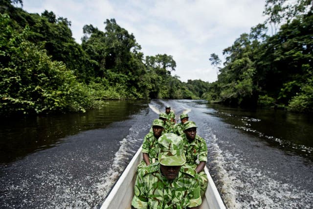 Guards protecting the forest elephant in Minkebe national park