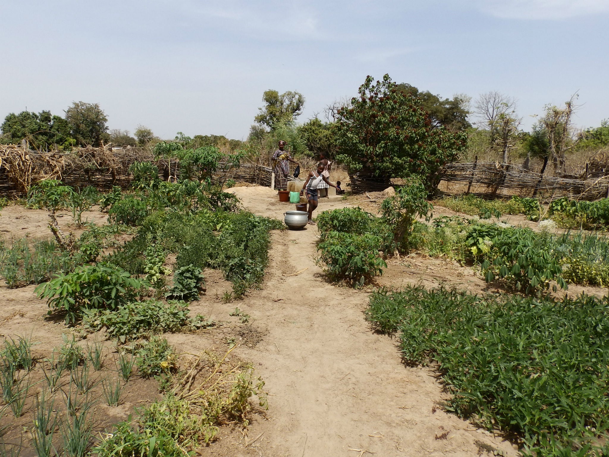 Women and children farming in Kourounan village, Kayes, Mali, on 15 March 2016.