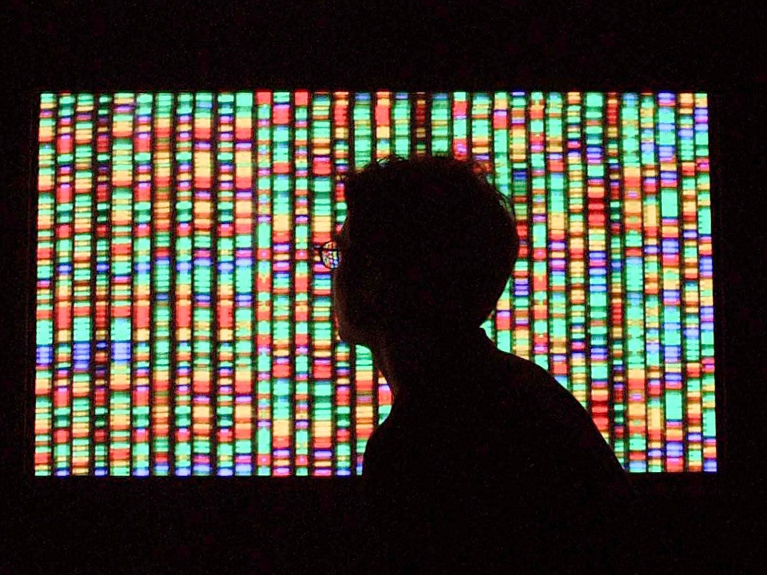 A man looks at a visual representation of the human genome