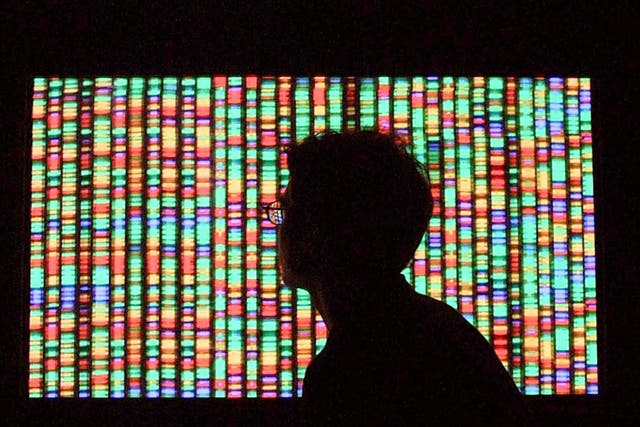 A man looks at a visual representation of the human genome