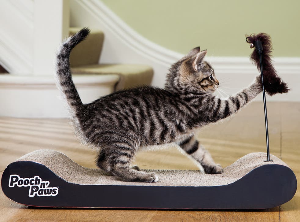 10 Best Cat Scratchers The, Leather Scratching Post