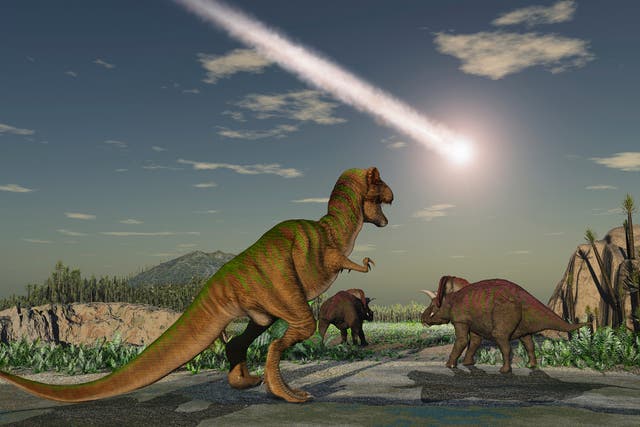 Scientists are still not sure what contribution the asteroid that struck Earth and massive volcanic eruptions played in the dinosaurs' extinction